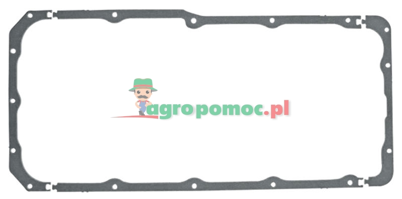 Oil sump gasket | 4420140222 | zdjęcie nr 1