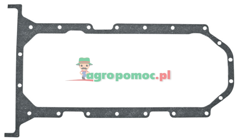 Oil sump gasket | 80002083 | zdjęcie nr 1