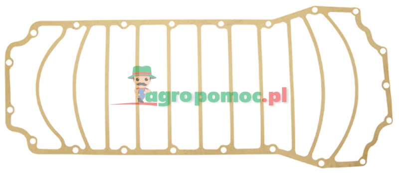 Oil sump gasket | 80002097 | zdjęcie nr 1