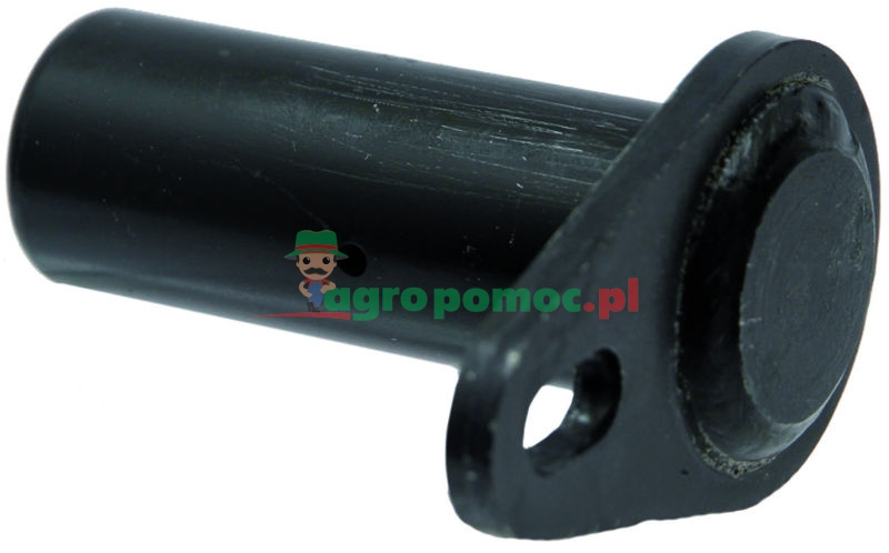 Pin | 517661 | zdjęcie nr 1