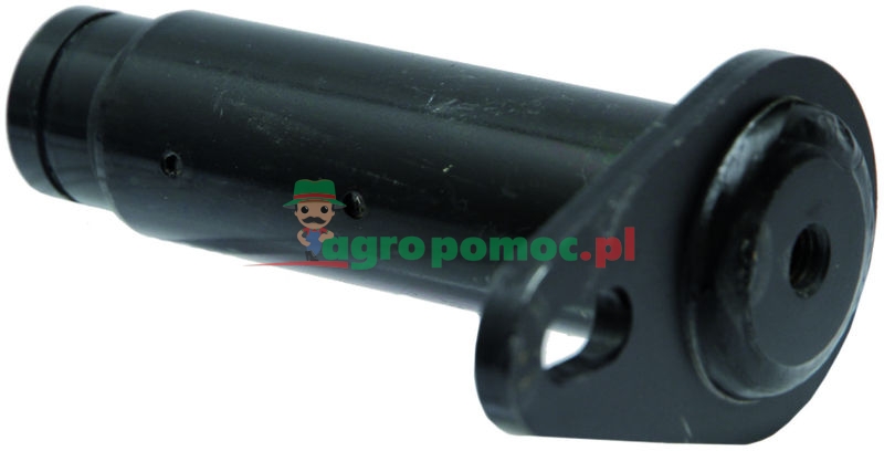 Pin | 519558 | zdjęcie nr 1