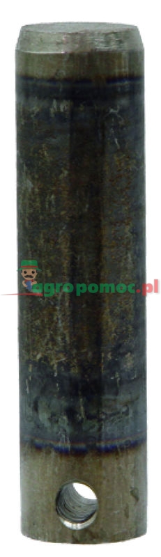 Pin | 0395700 | zdjęcie nr 1