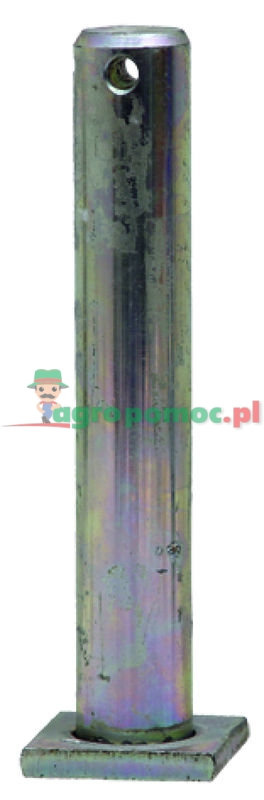 Pin | 2471750 | zdjęcie nr 1