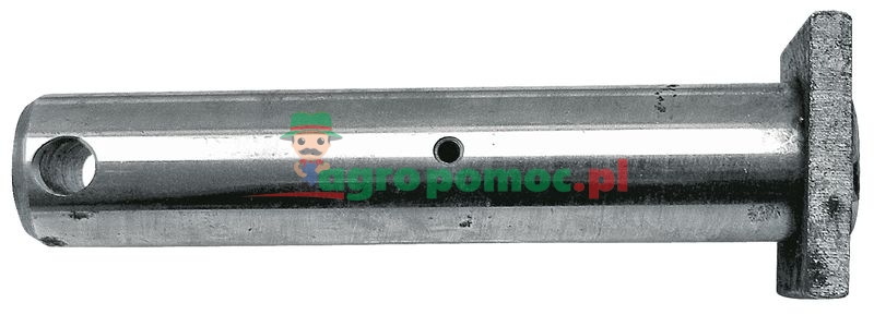 Pin | 1390890 | zdjęcie nr 1