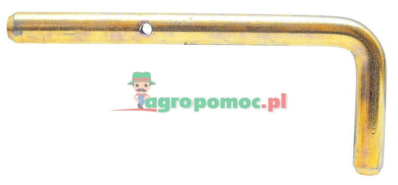 Pin | 2305600 | zdjęcie nr 1