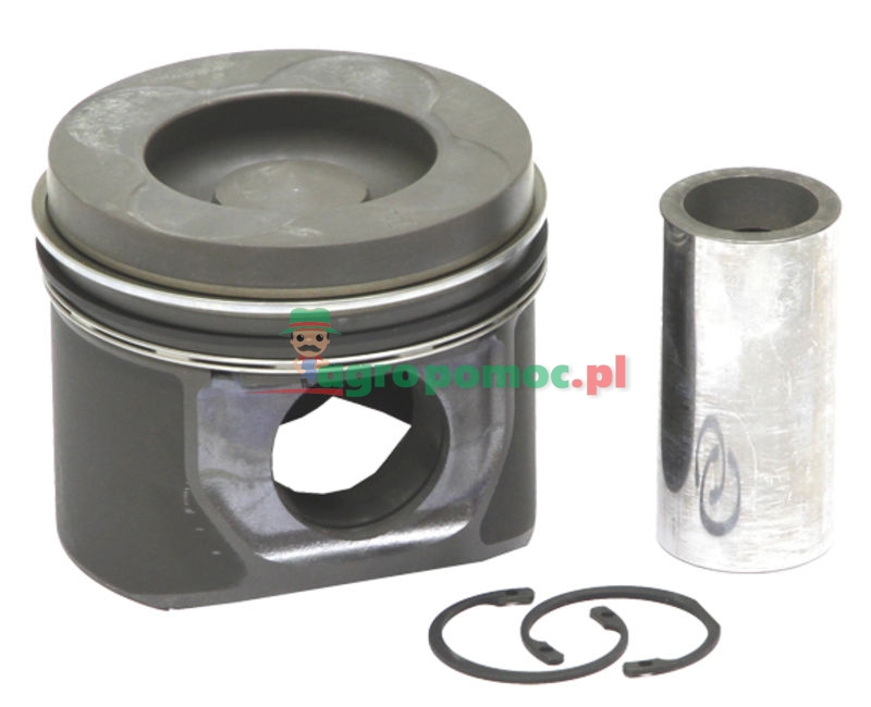 Piston complete | zdjęcie nr 1
