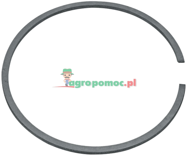 Piston ring | 1118 034 3001 | zdjęcie nr 1