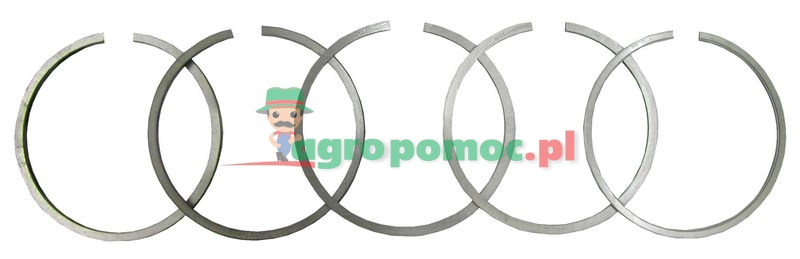 Piston ring set | 3x 828192M1, 2x 826279M1 | zdjęcie nr 1