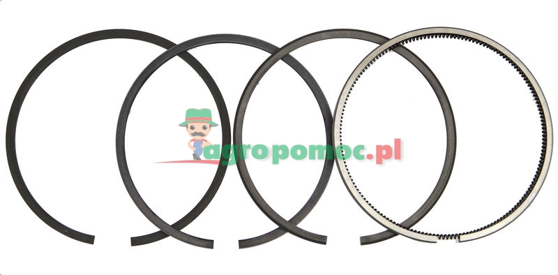 Piston ring set | 87295221, DJPN6149S, 83917464 | zdjęcie nr 1