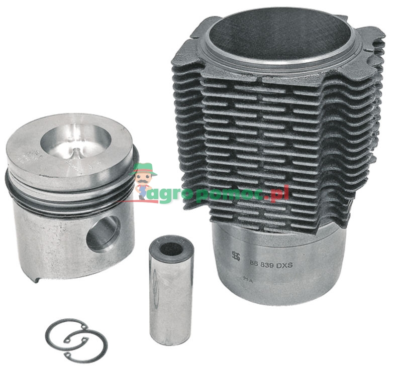 Piston set complete | 7701200356 | zdjęcie nr 1