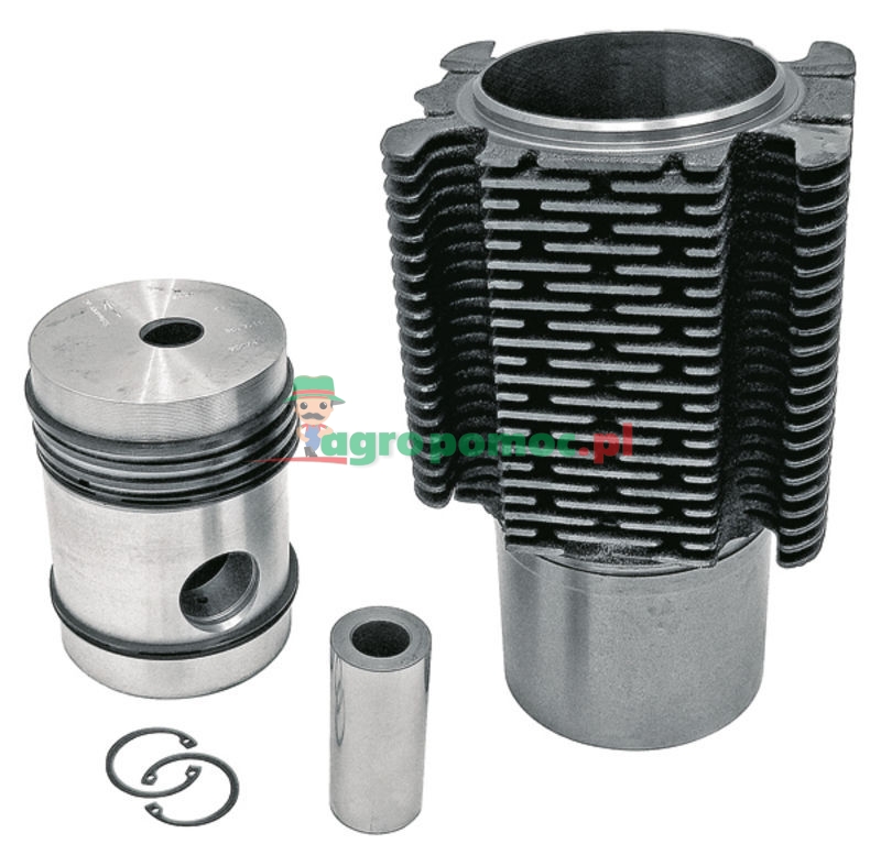 Piston set complete | 7701454414 | zdjęcie nr 1