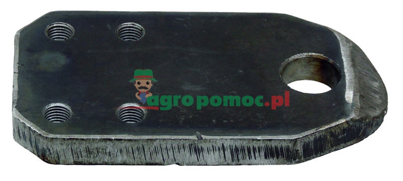 Plate | zdjęcie nr 1