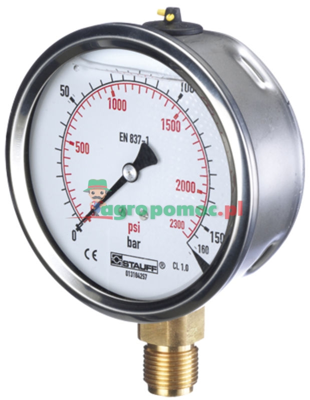 Pressure gauge 16 bar Ø100mm - 1/2" | zdjęcie nr 1