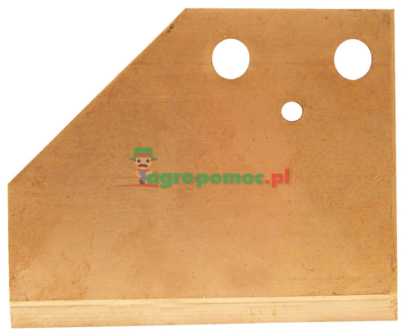 Pressure plate | 21021 | zdjęcie nr 1