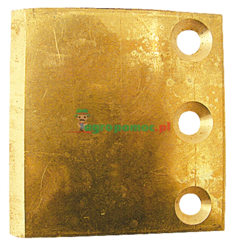 Pressure plate | 51.223, 60938 | zdjęcie nr 1