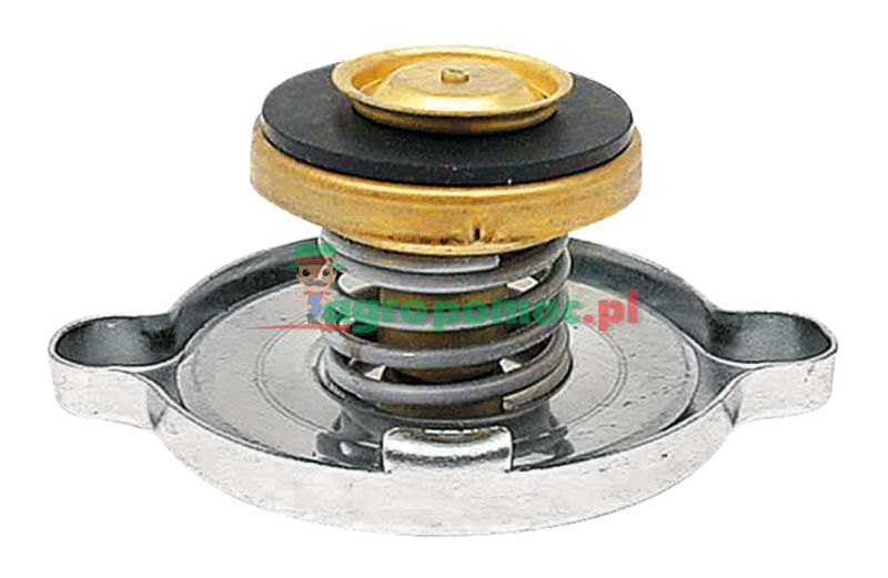 Radiator filler cap | 3637301M1 | zdjęcie nr 1