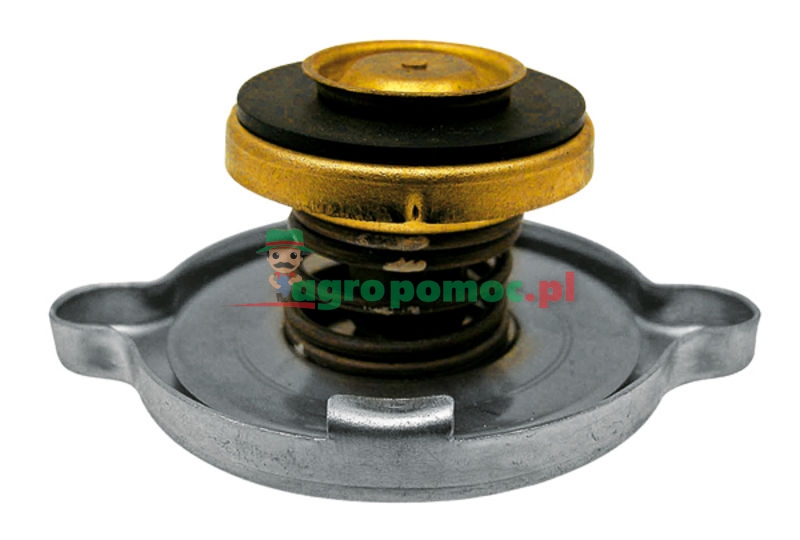 Radiator filler cap | PE951316, PE951325, PE972501 | zdjęcie nr 1
