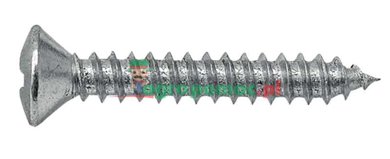 Raised countersunk self-tapping screw | zdjęcie nr 1