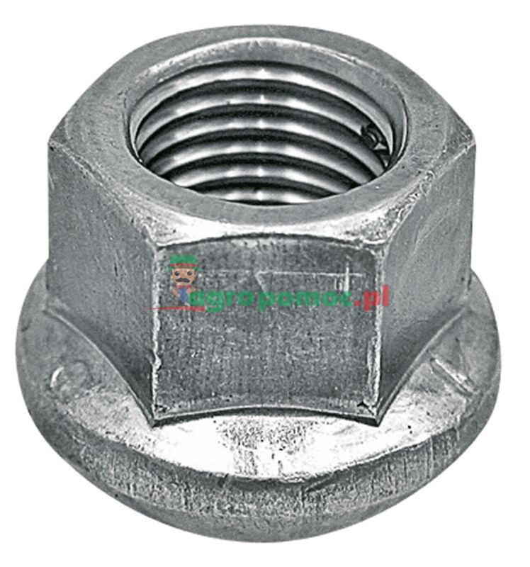 Round-shouldered nut | zdjęcie nr 1