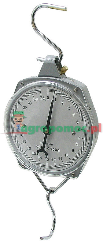 Scale | zdjęcie nr 1