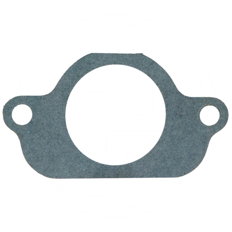 Seal | zdjęcie nr 1