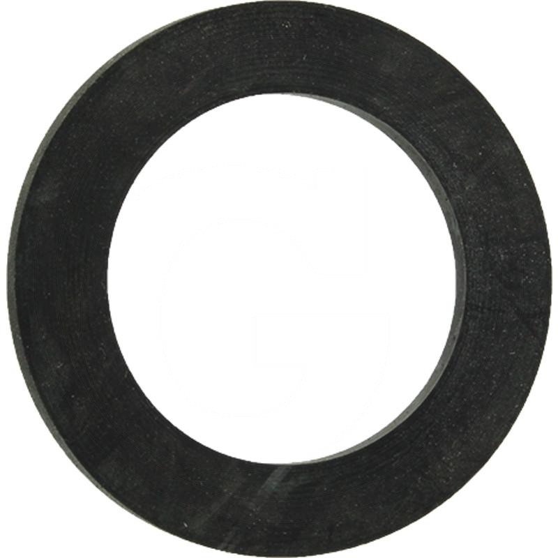 Seal | zdjęcie nr 1