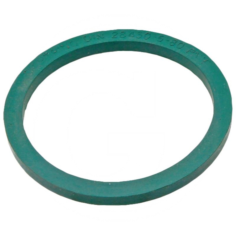 Seal | zdjęcie nr 1