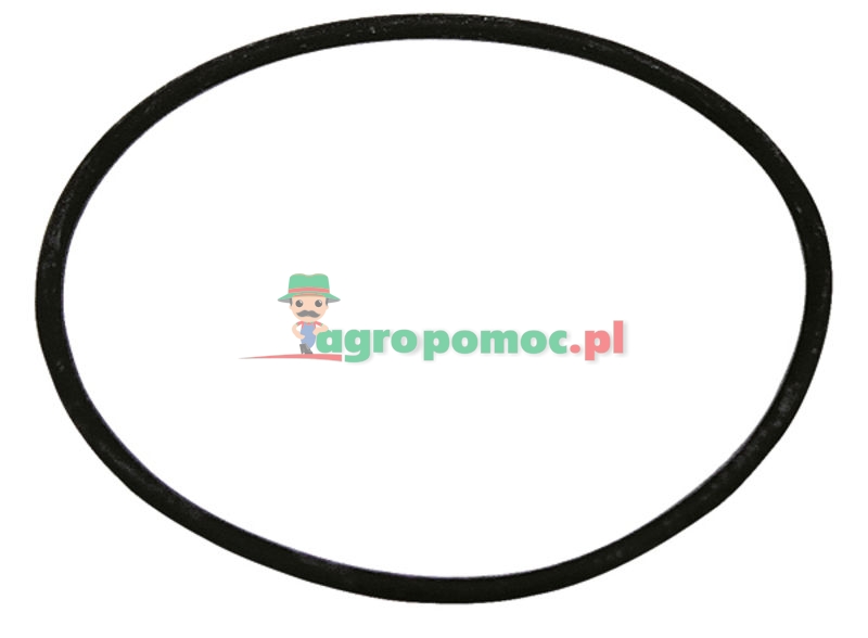 Seal | zdjęcie nr 1