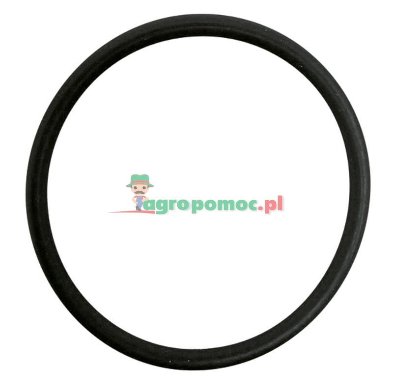 Seal | 3131661R1 | zdjęcie nr 1