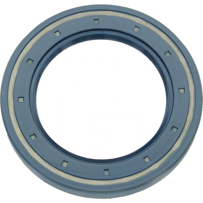 Seal | zdjęcie nr 1