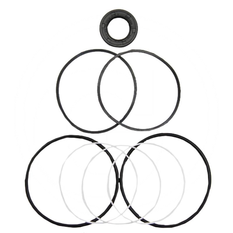 Seal kit | 1493867M91 | zdjęcie nr 1