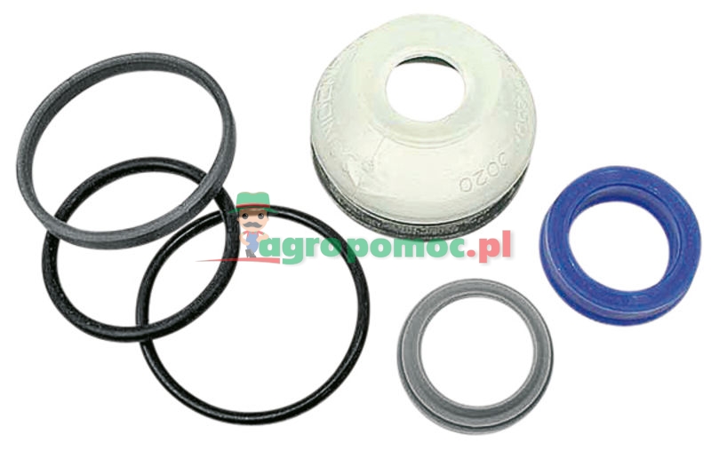 Seal kit | 9960075 | zdjęcie nr 1