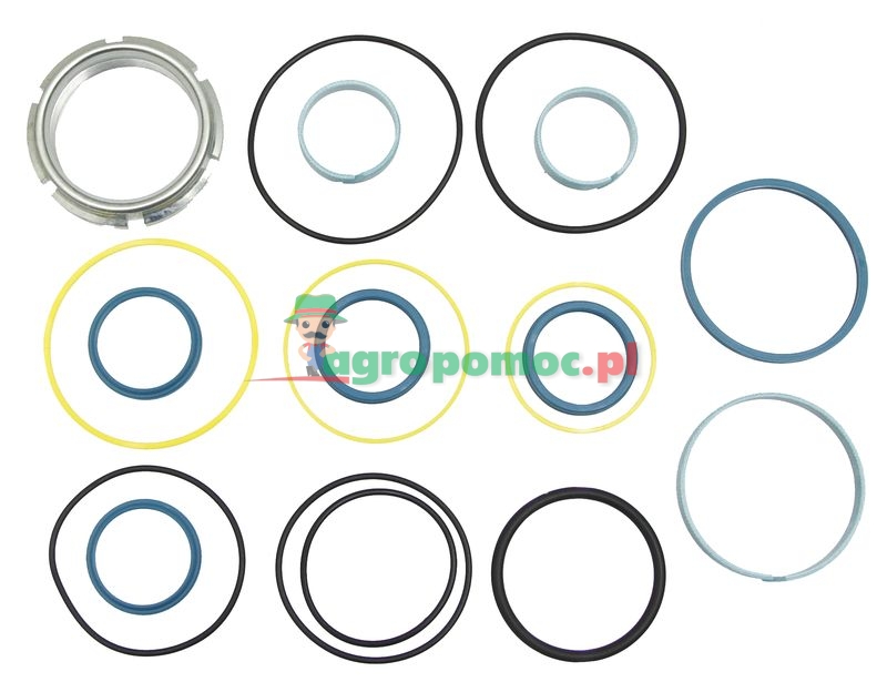 Seal kit | AL110917 | zdjęcie nr 1