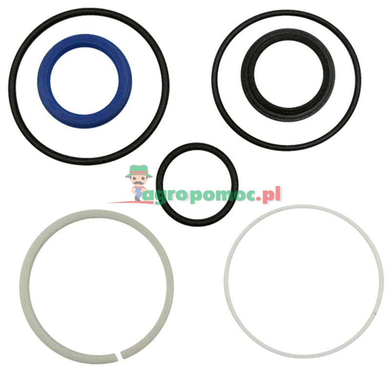 Seal kit | 1749581M91 | zdjęcie nr 1