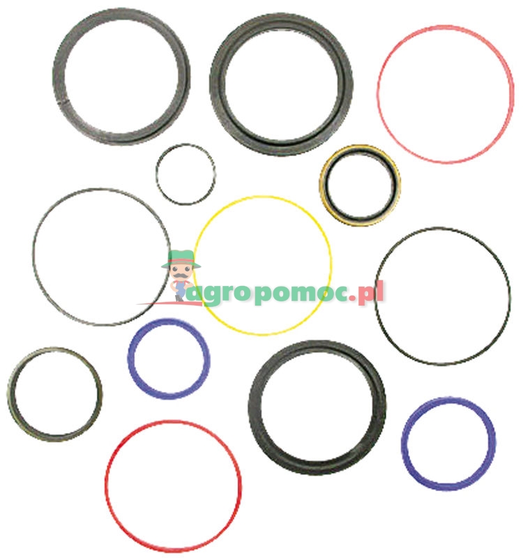 Seal kit | 420060 | zdjęcie nr 1