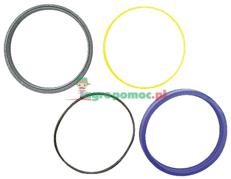 Seal kit | 420063 | zdjęcie nr 1