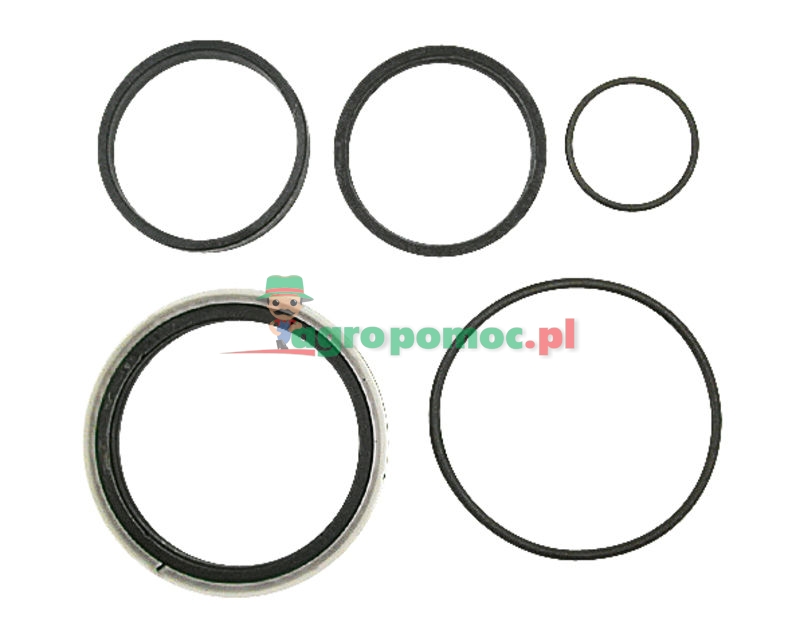 Seal kit | 50031 | zdjęcie nr 1