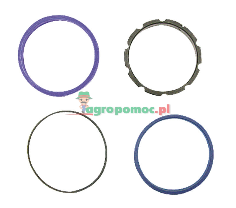 Seal kit | 51755 | zdjęcie nr 1