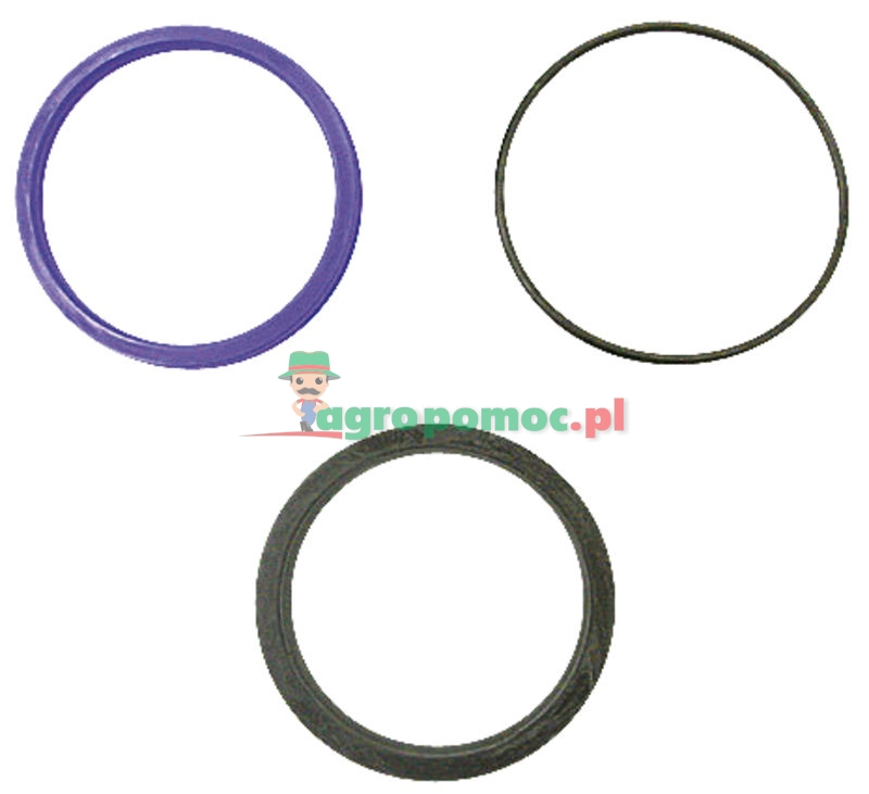 Seal kit | 51760 | zdjęcie nr 1
