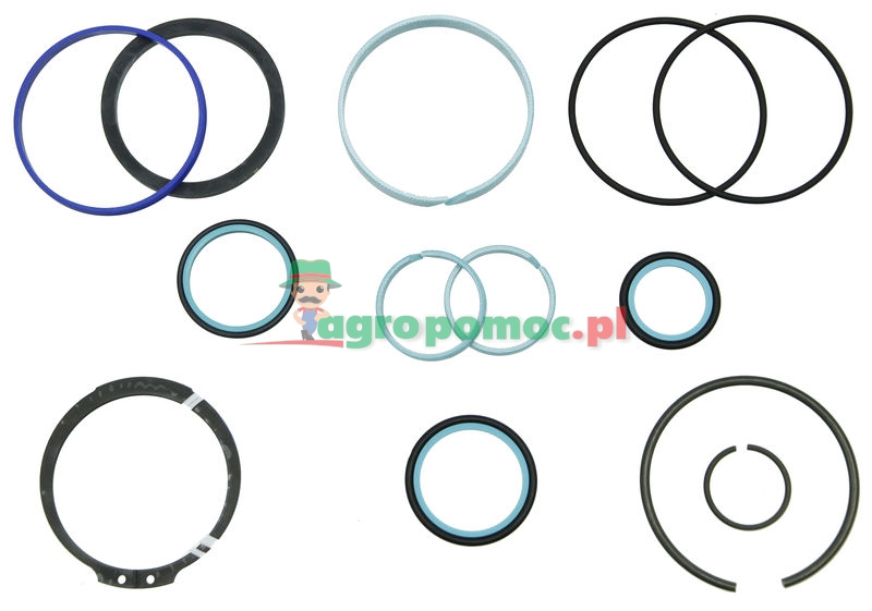 Seal kit | G001990010710 | zdjęcie nr 1