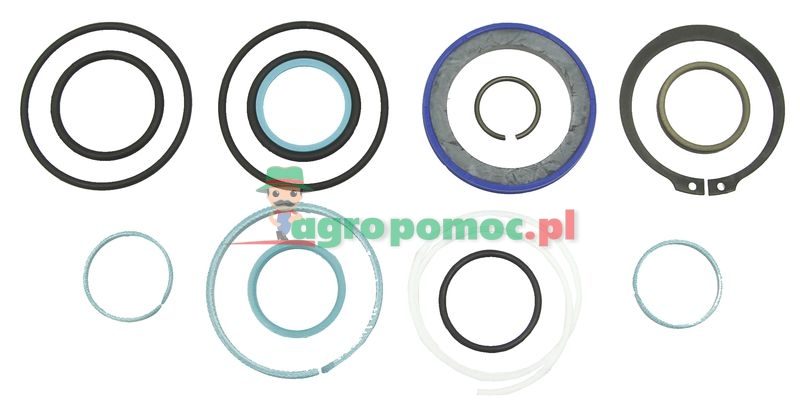 Seal kit | G001990011030 | zdjęcie nr 1