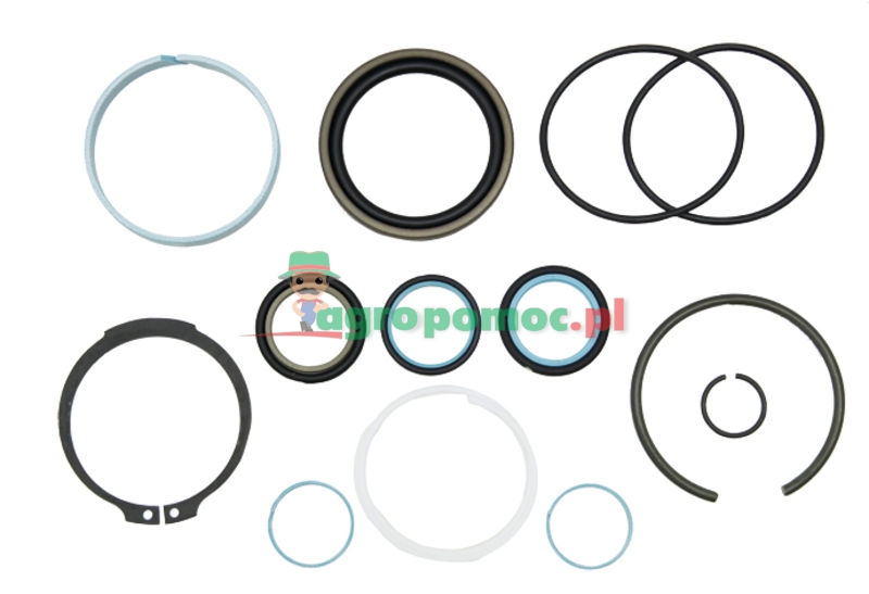 Seal kit | G001990011070 | zdjęcie nr 1