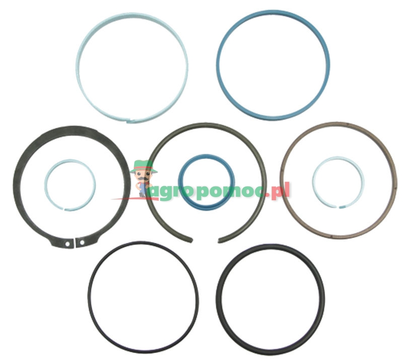 Seal kit | G001990011310 | zdjęcie nr 1