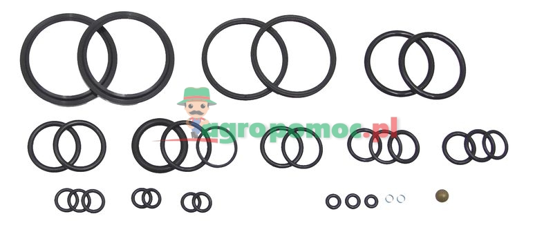 Seal set | RE158122, RE46512 | zdjęcie nr 1