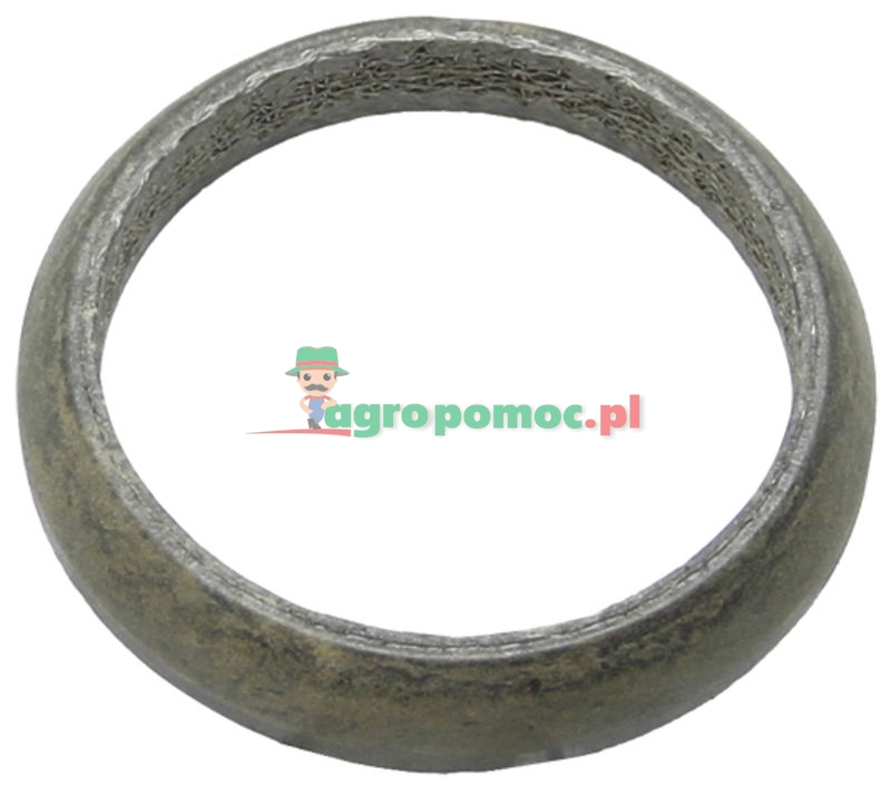 Sealing ring | 149200100060 | zdjęcie nr 1