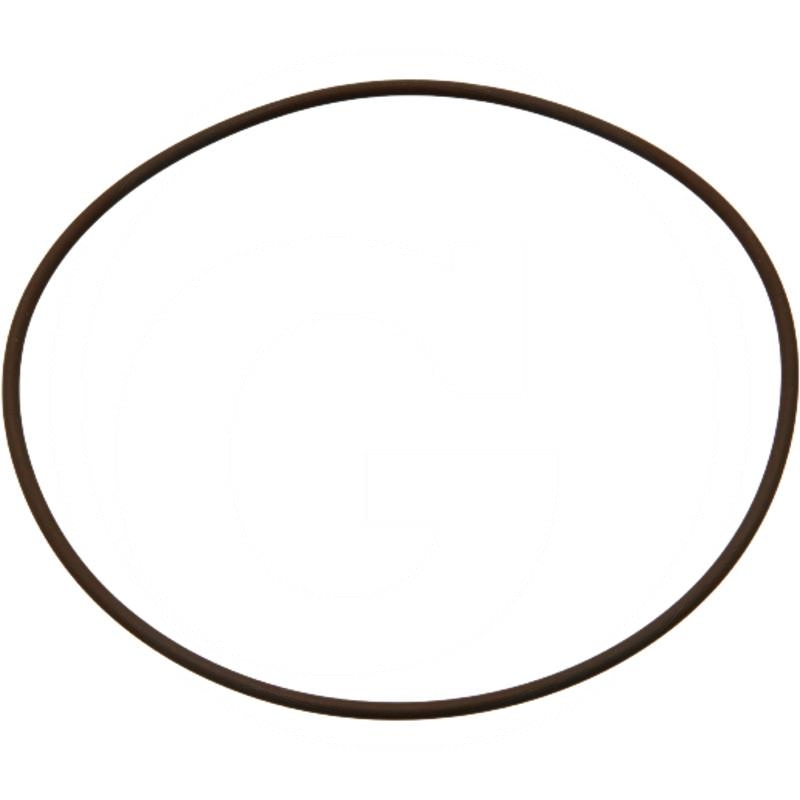 Sealing ring | 2.1519.096.0/20, 2.1519.096.0/10 | zdjęcie nr 1