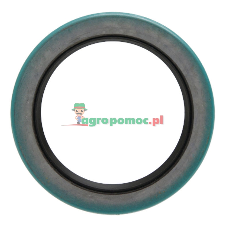 Sealing ring | DANA070HH102, A76014 | zdjęcie nr 1