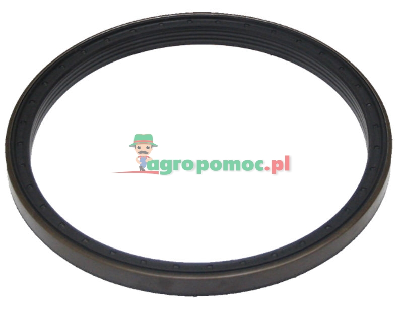 Sealing ring | 2.1529.138.0 | zdjęcie nr 1
