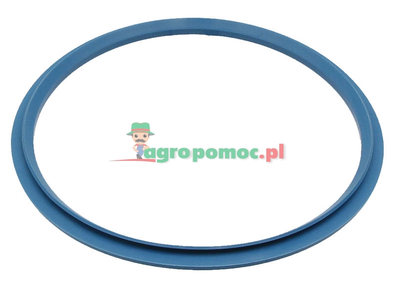 Sealing ring | 716300050131 | zdjęcie nr 1