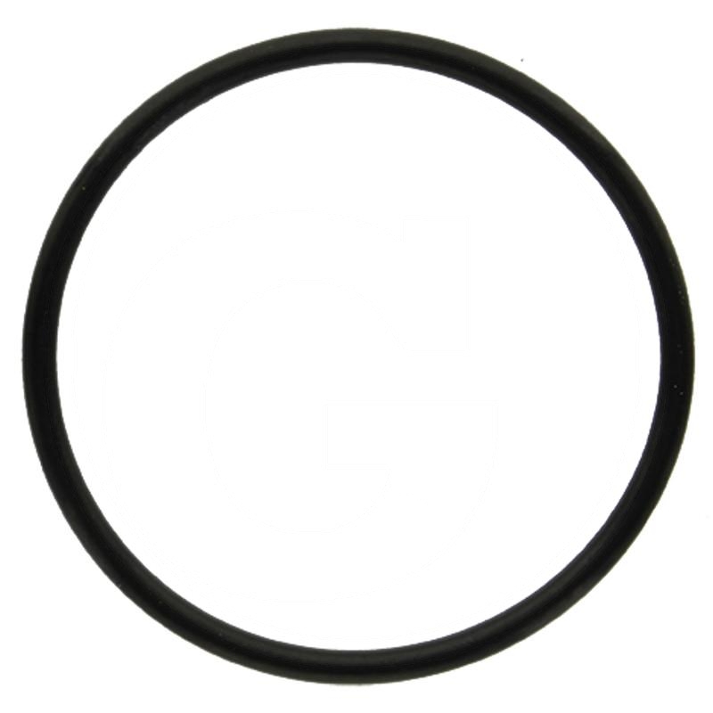 Sealing ring | zdjęcie nr 1